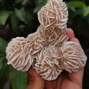 Desert Rose Selenite Specimen 🏜️🏝️ - image 5