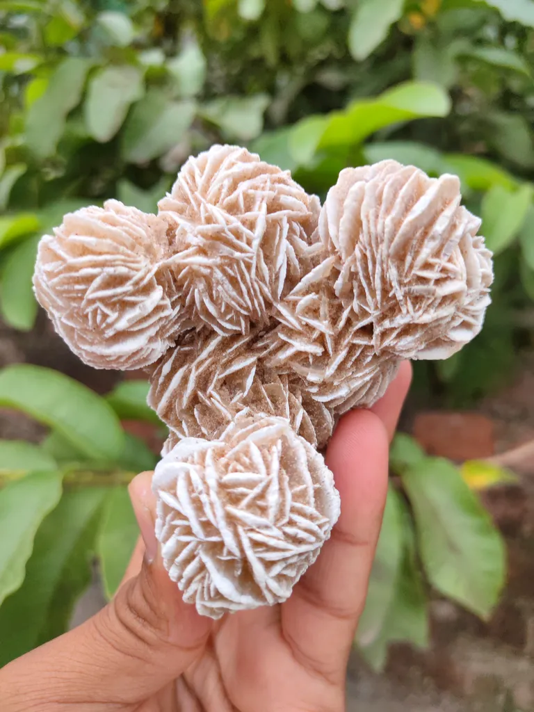 Desert Rose Selenite Specimen ๐๏ธ๐๏ธ - image 3