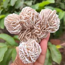 Desert Rose Selenite Specimen 🏜️🏝️ - image 3