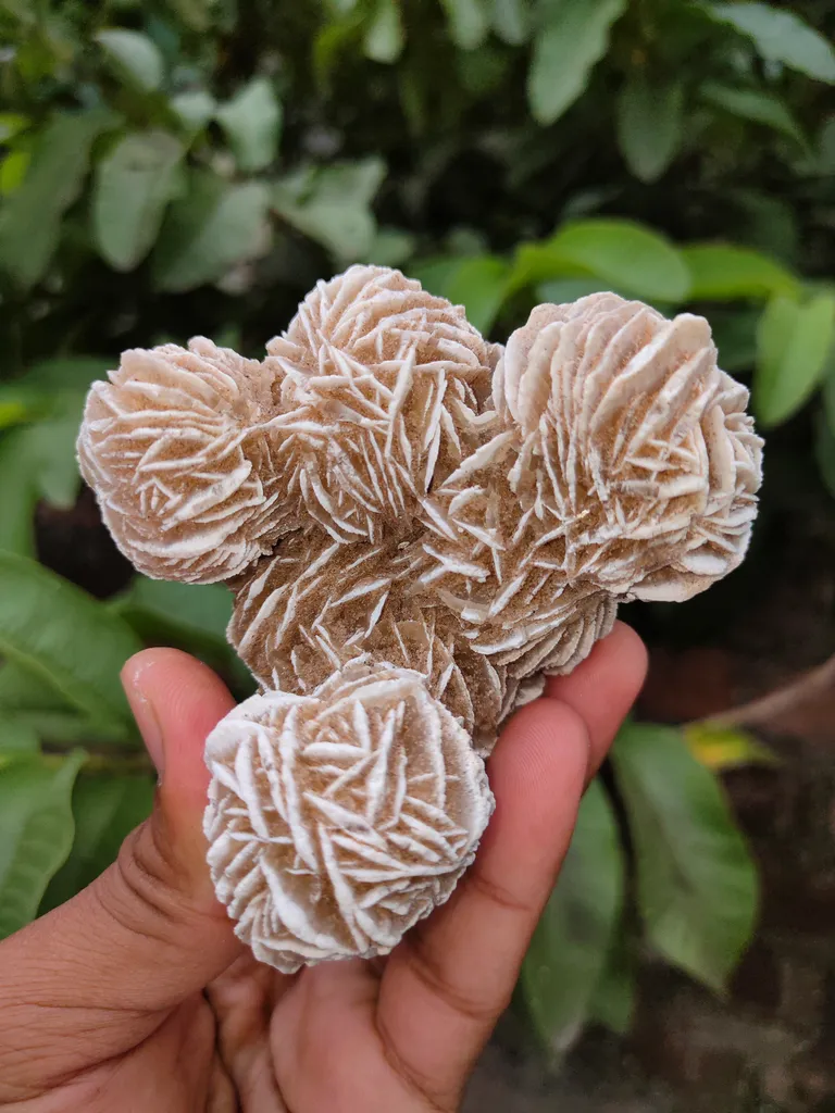 Desert Rose Selenite Specimen ๐๏ธ๐๏ธ - image 4