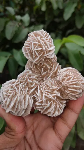 specimen video