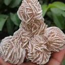 specimen video