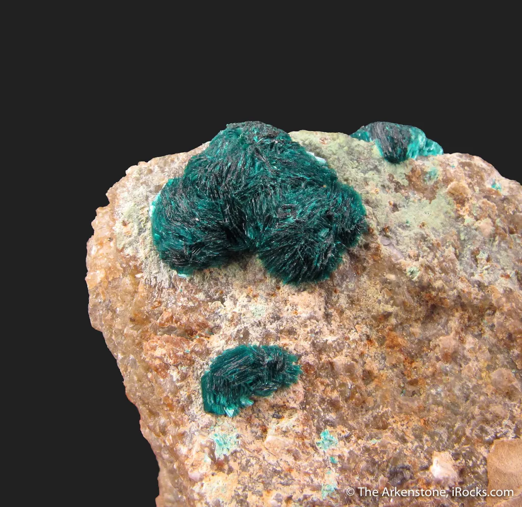 Devilline - image 6