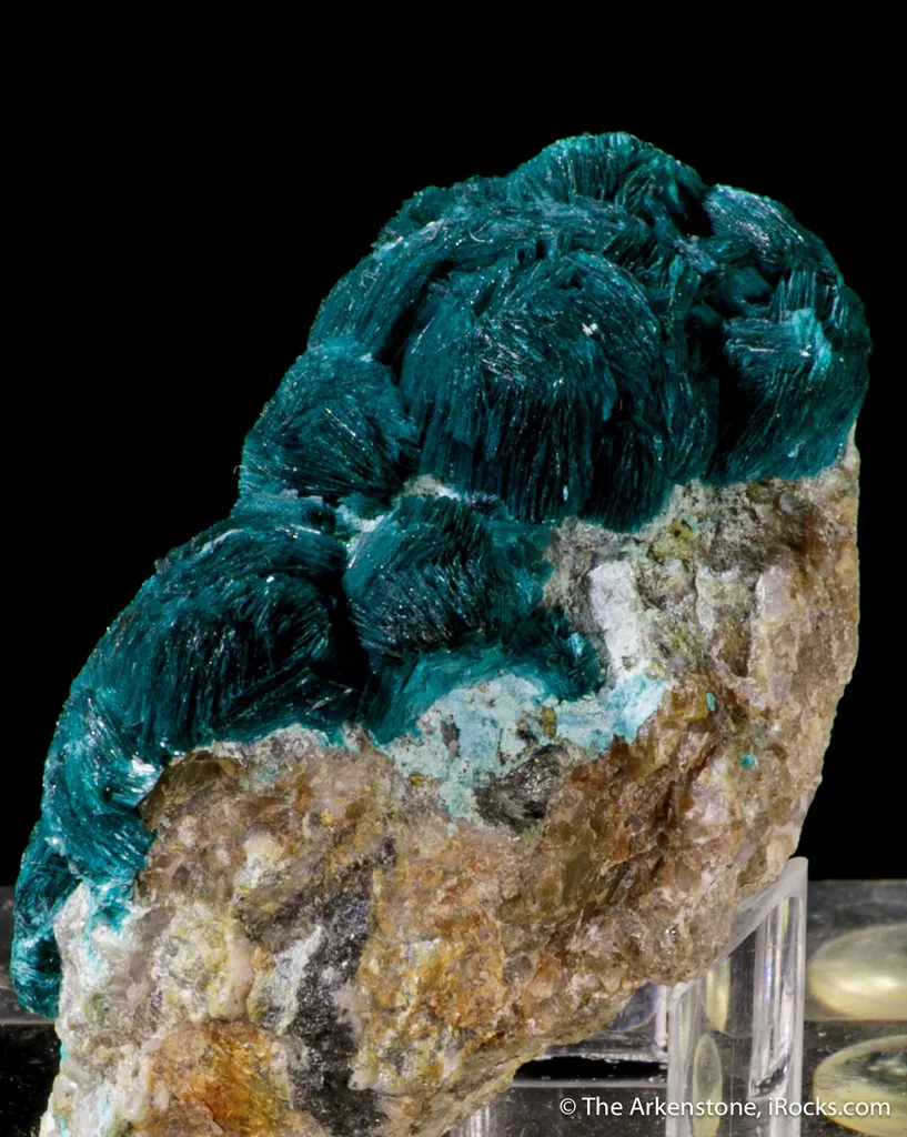 Devilline - image 3