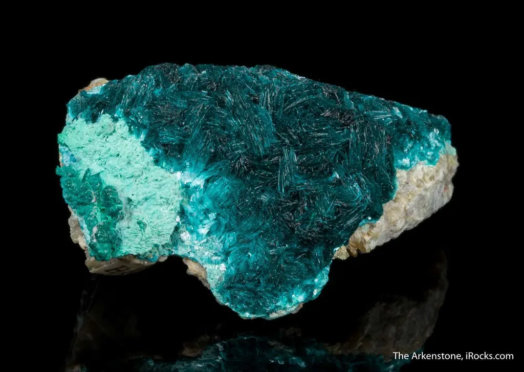 Devilline - image 8