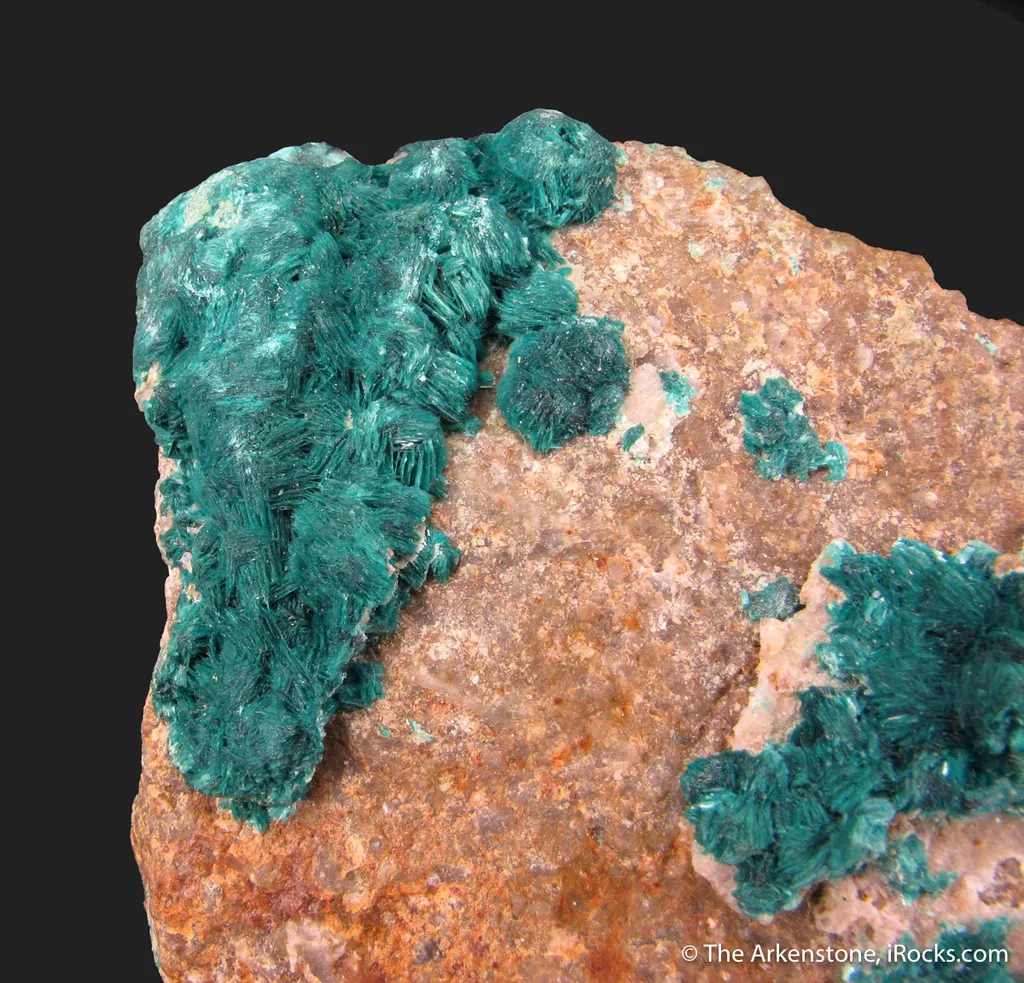 Devilline - image 3