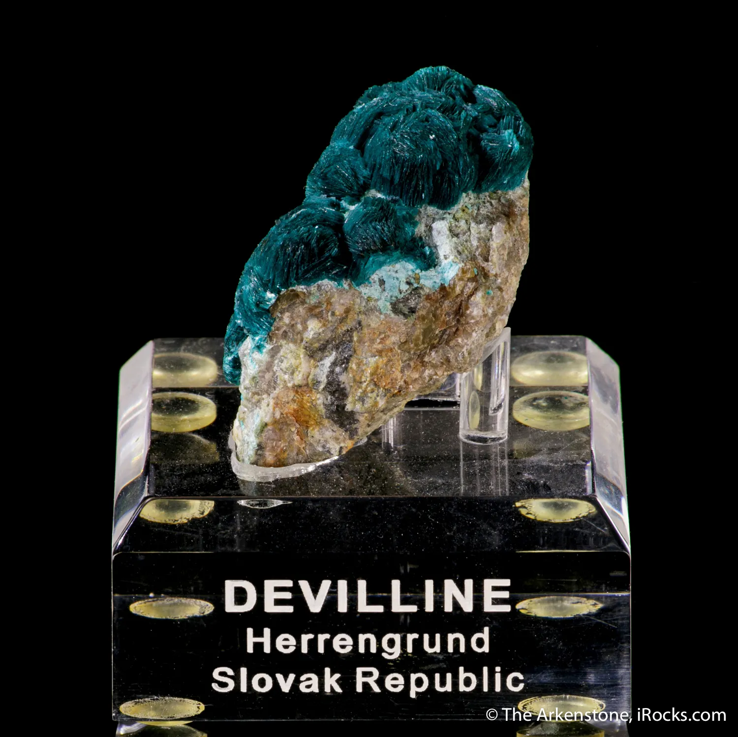 Devilline - image 2