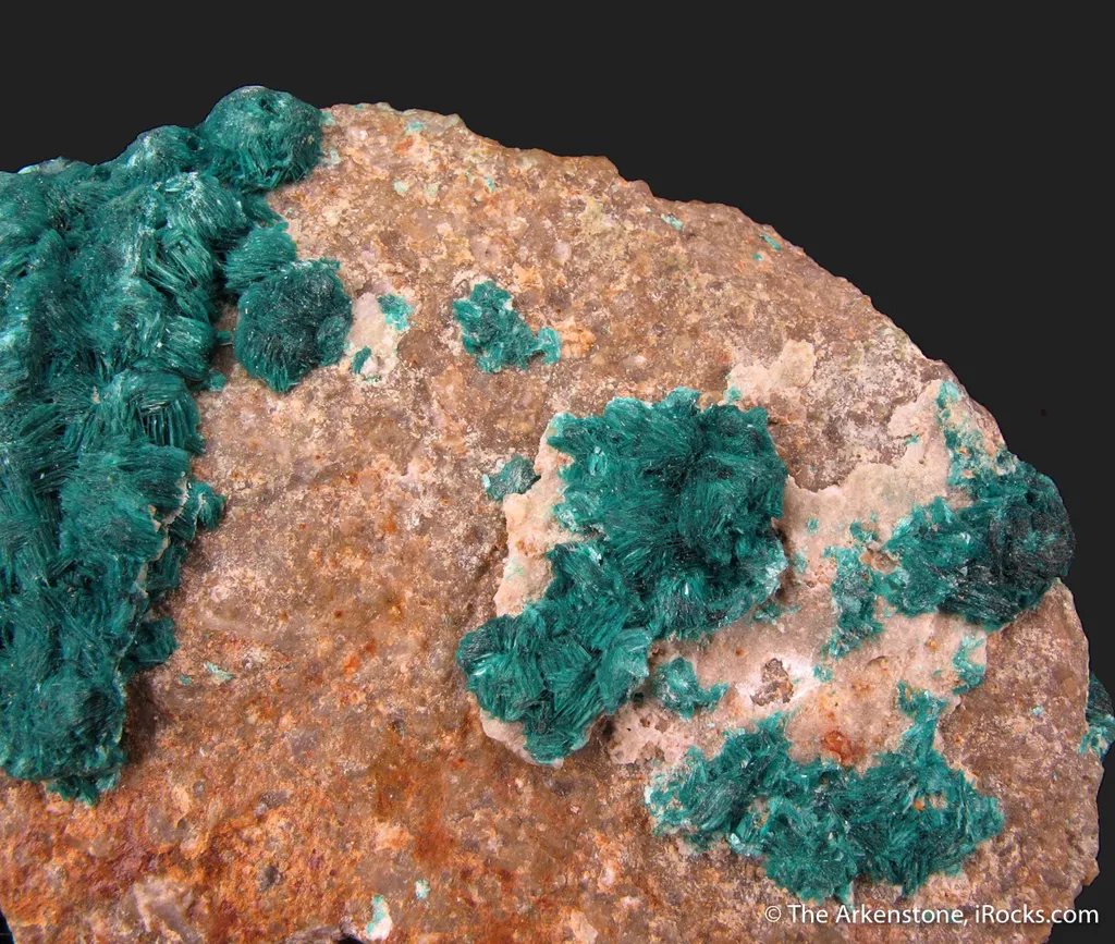 Devilline - image 5