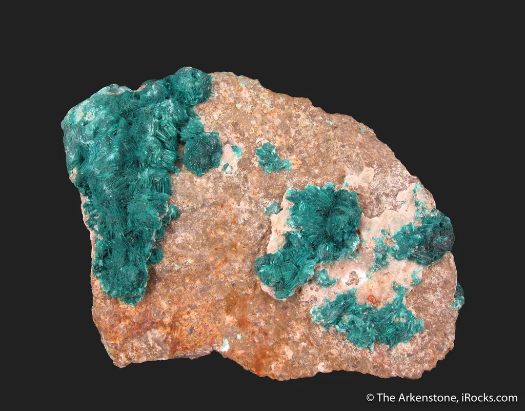 Devilline - image 2