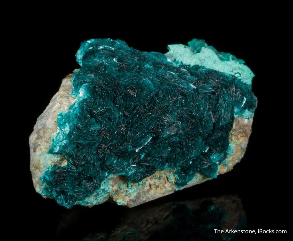 Devilline - image 7
