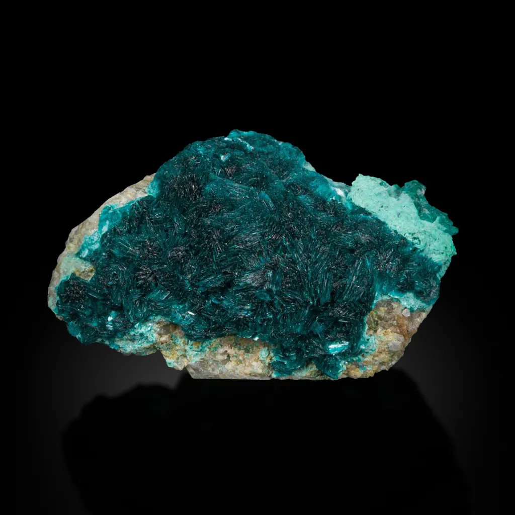 Devilline - image 3