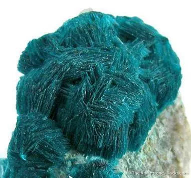 Devilline - image 2