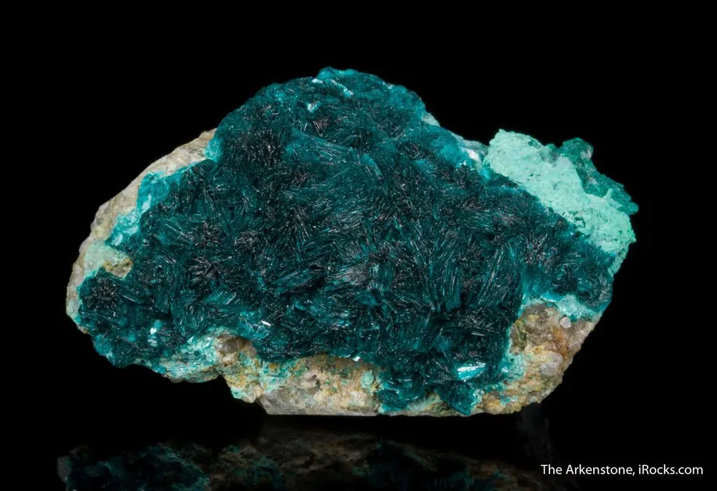 Devilline - image 4