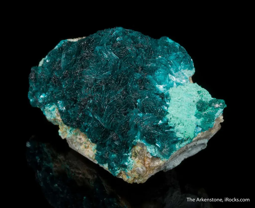 Devilline - image 6