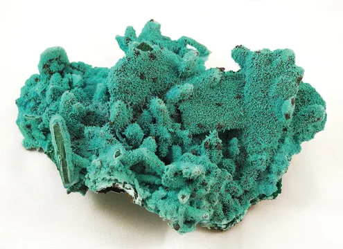 Lupoto Mine, DR Congo Locality Guide