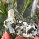 specimen video