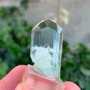 specimen video