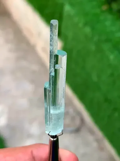 specimen video