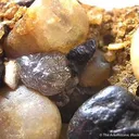 Diamond in Conglomerate - image 1