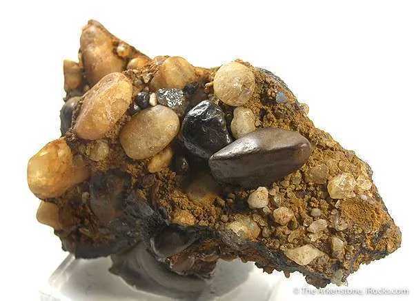 Diamond in Conglomerate - image 2