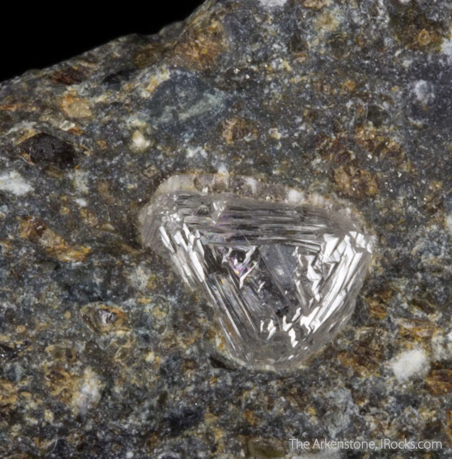 Diamond in Kimberlite - image 5