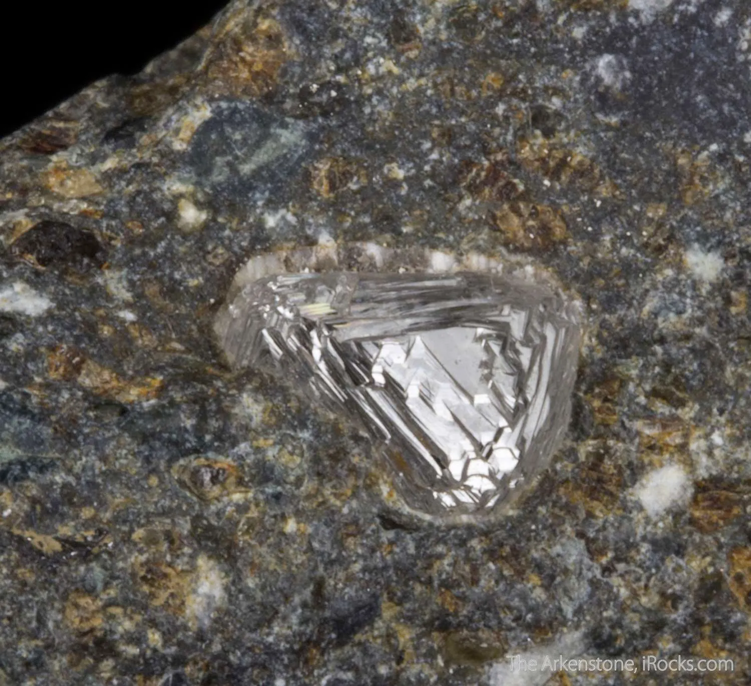 Diamond in Kimberlite - image 6