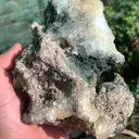 specimen video