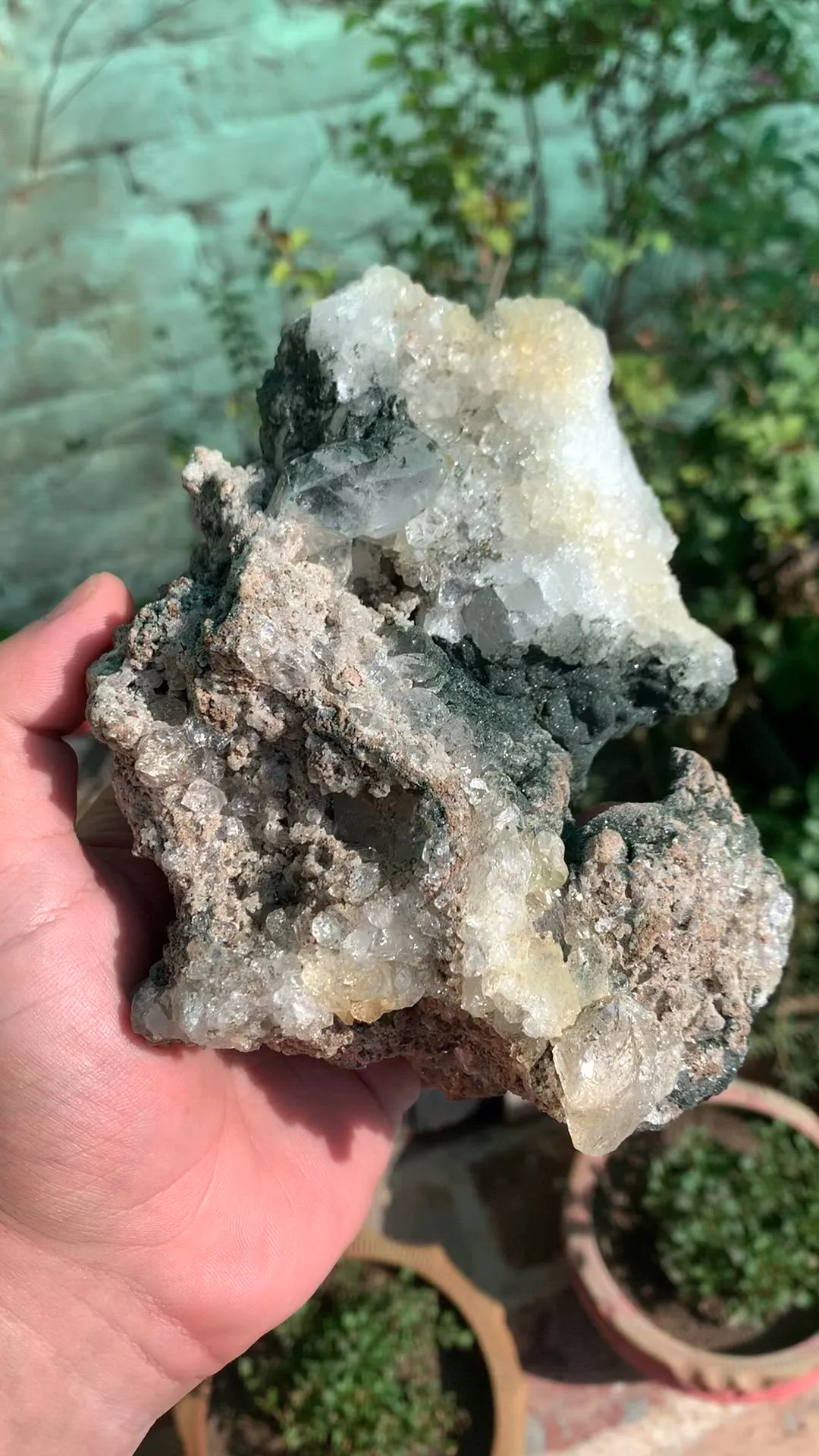 specimen video
