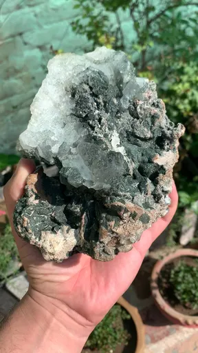 specimen video