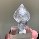 specimen video