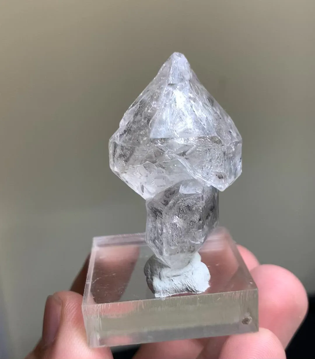 specimen video