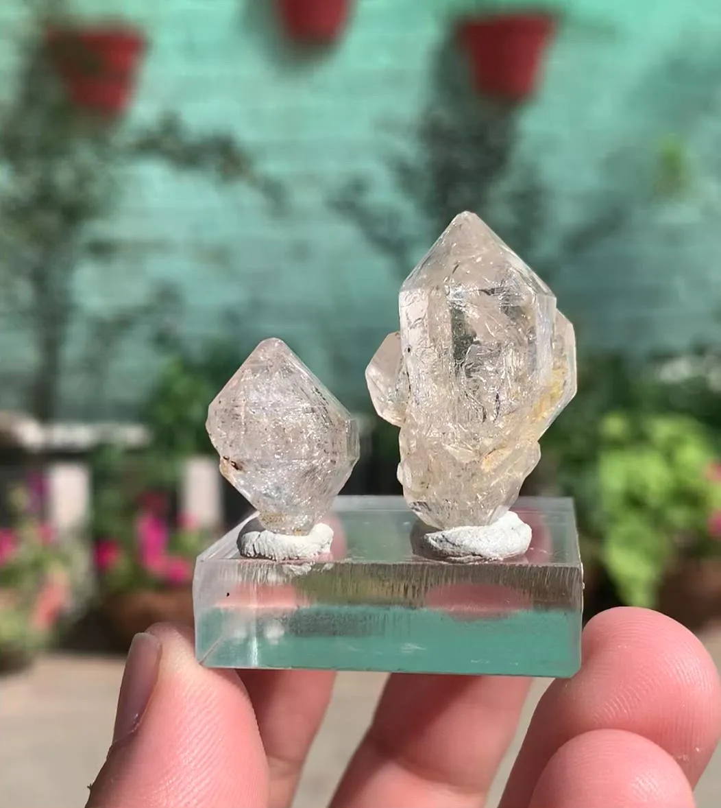 specimen video