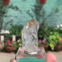 specimen video