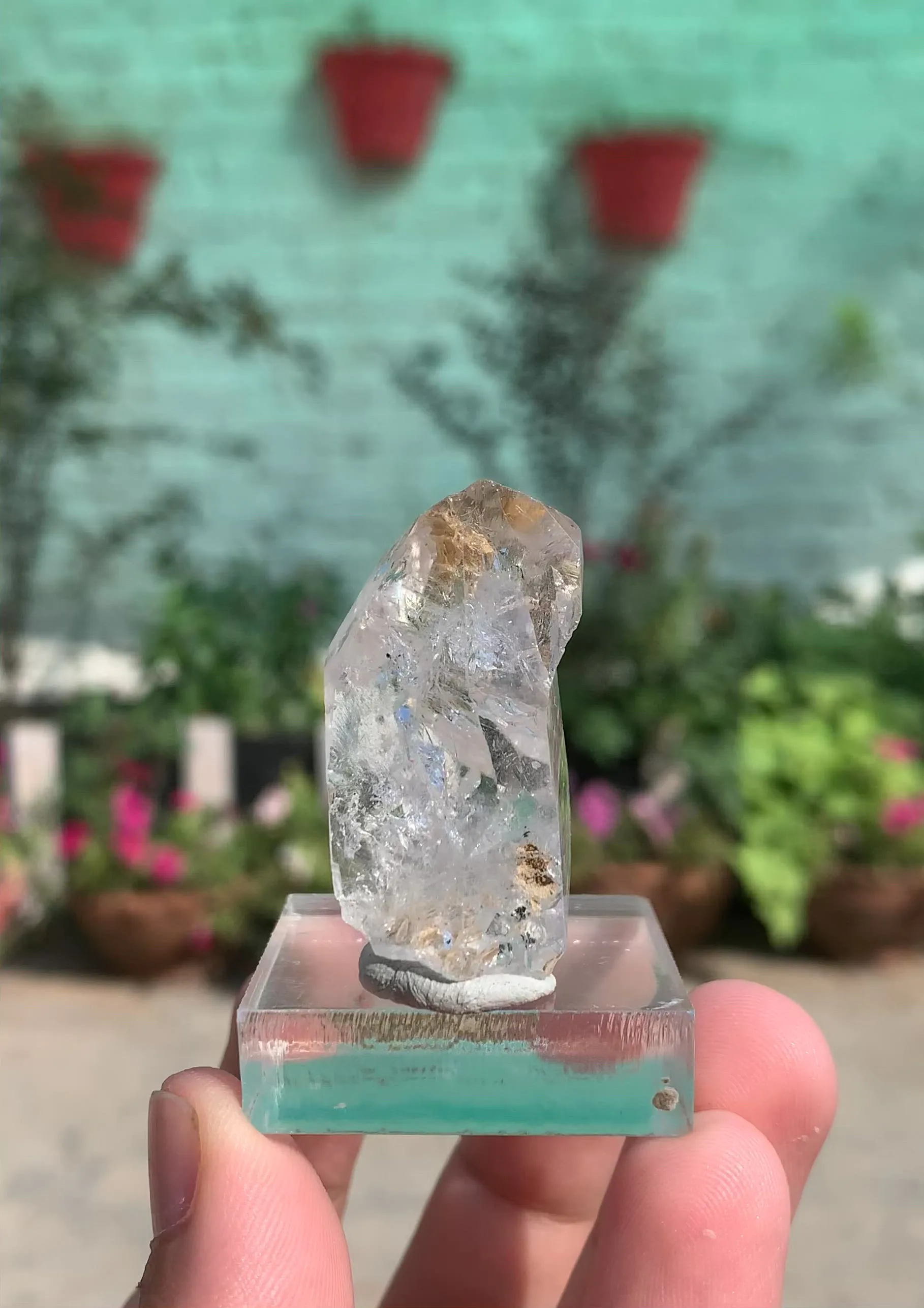 specimen video