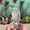 specimen video