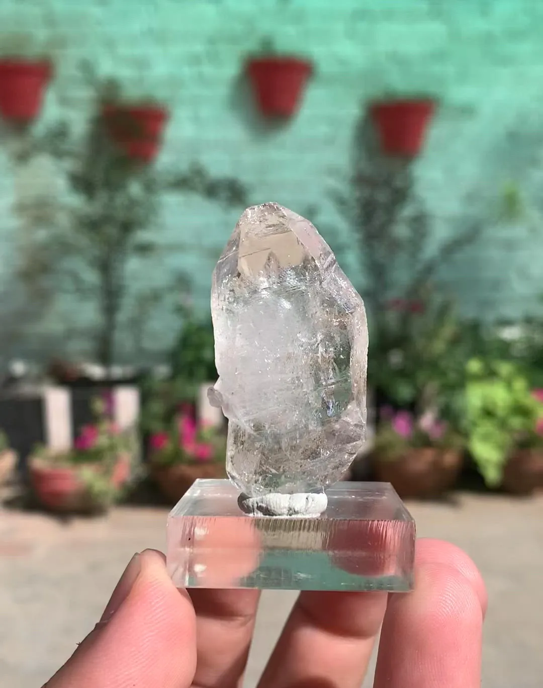 specimen video