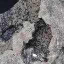Diamond quartz in a black geode from Ribiers in France. Quartz are well crystallized and shiny, the glossy black matrix makes the crystals - image 5
