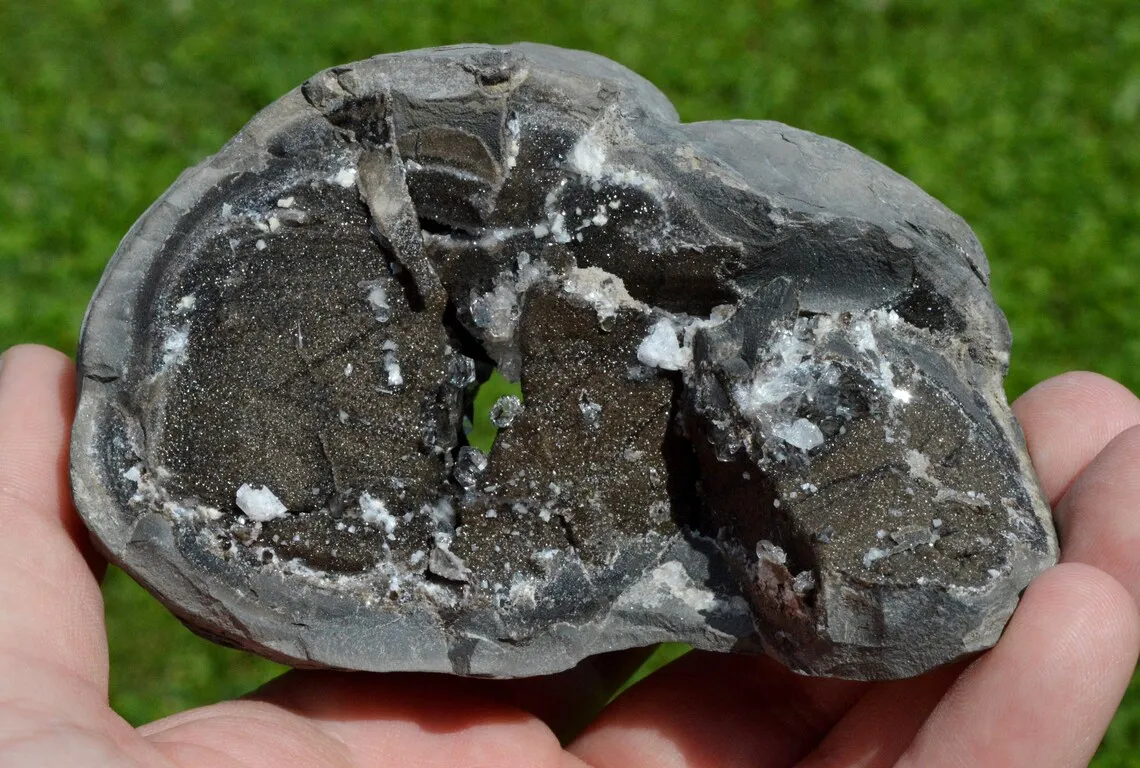 Diamond quartz on septaria 508 grams - Rémuzat, Nyons, Drôme, Auvergne-Rhône-Alpes, France - image 5