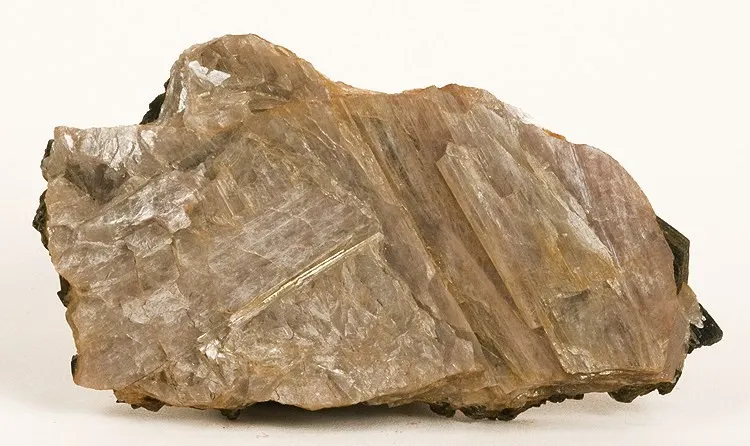Diaspore image