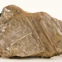 Diaspore - image 1