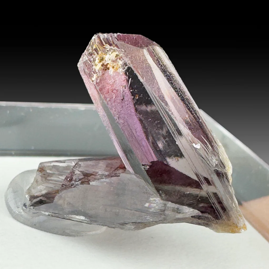 Diaspore image