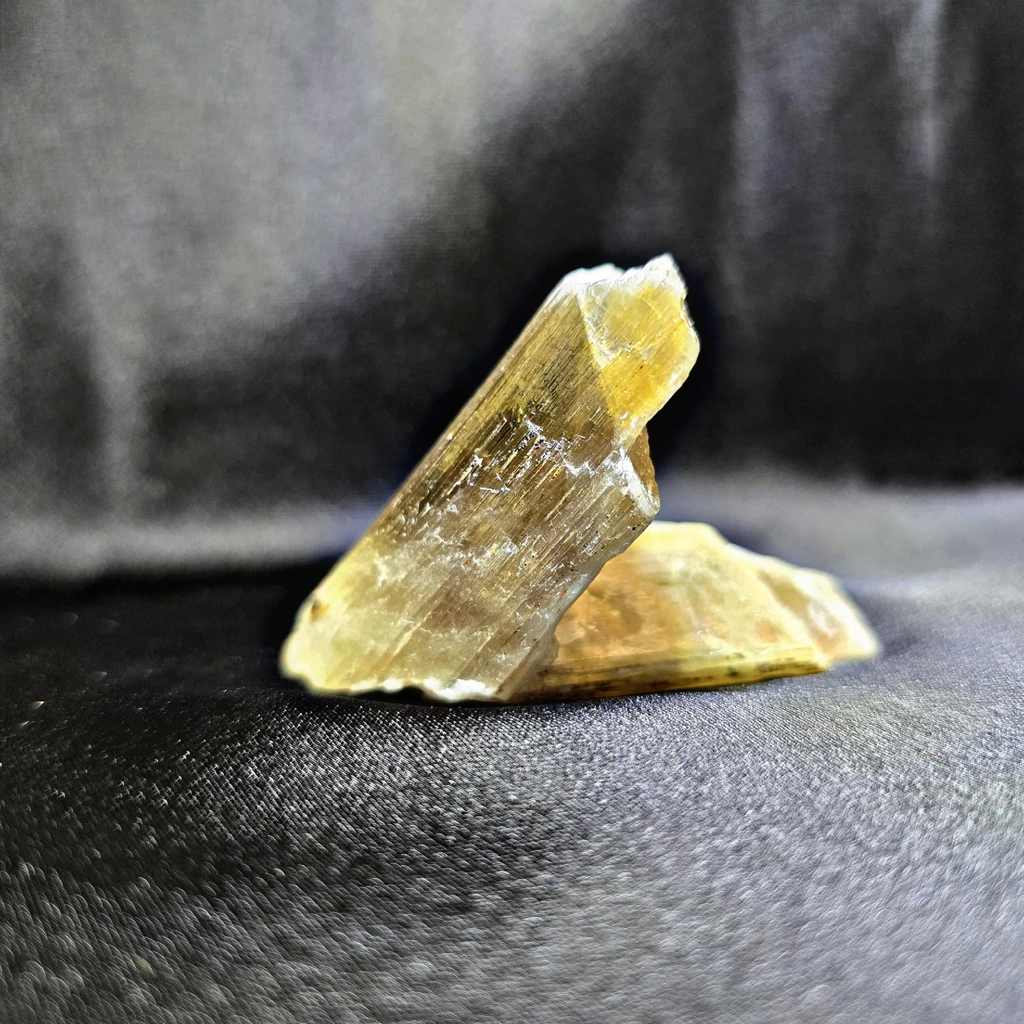 Diaspore - image 5