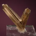 Diaspore - image 3