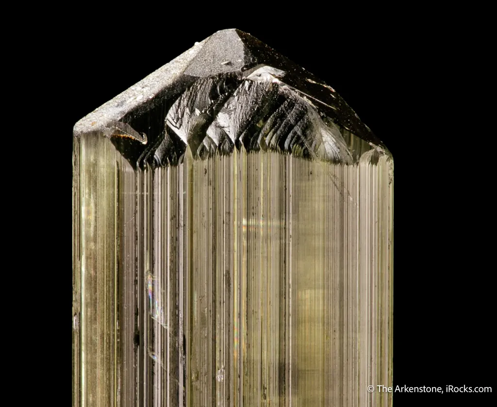 Diaspore - image 4
