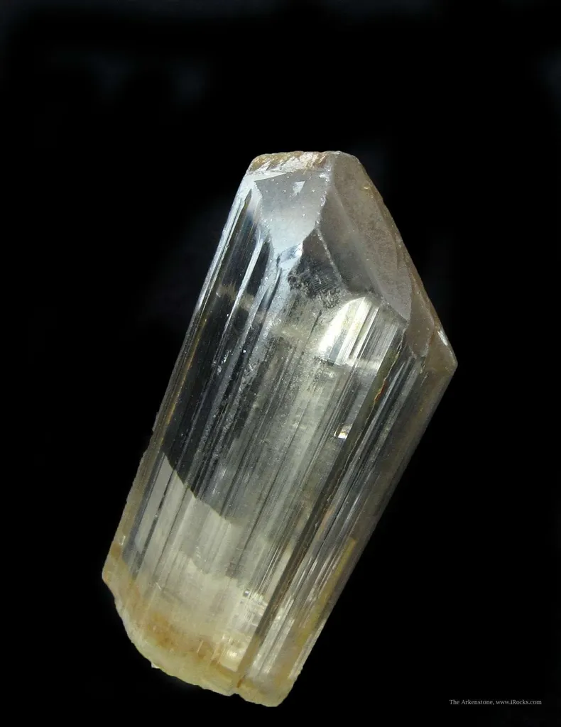 Diaspore - image 3