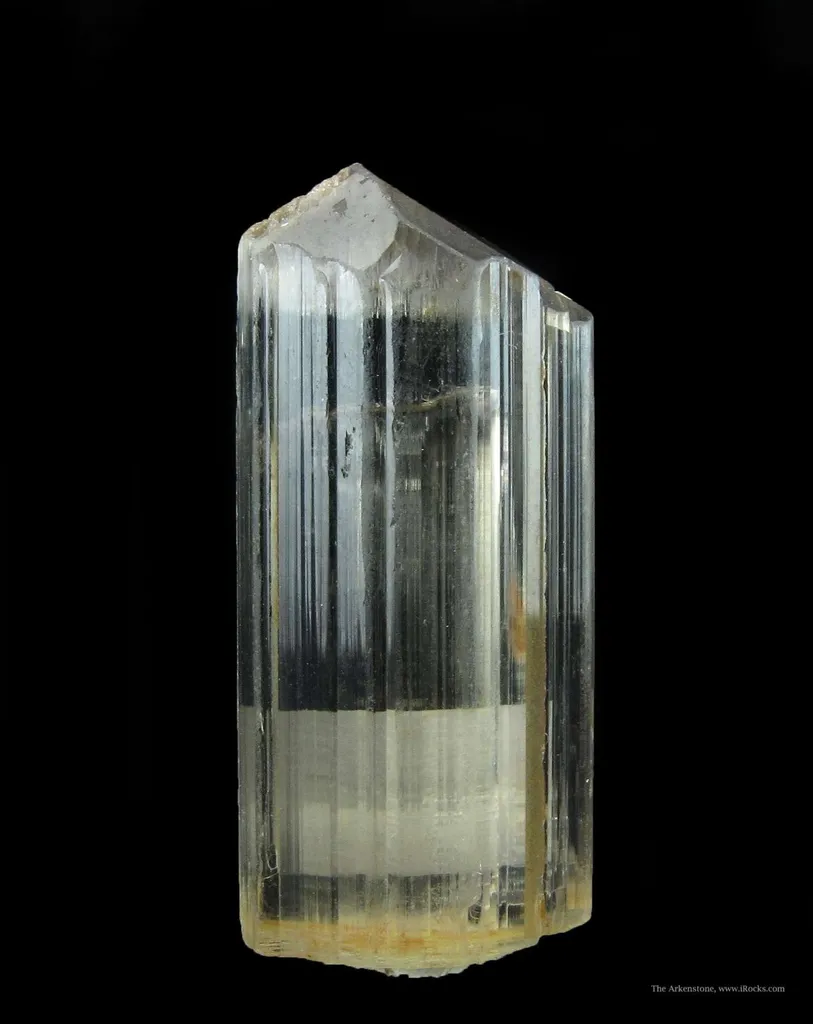 Diaspore image