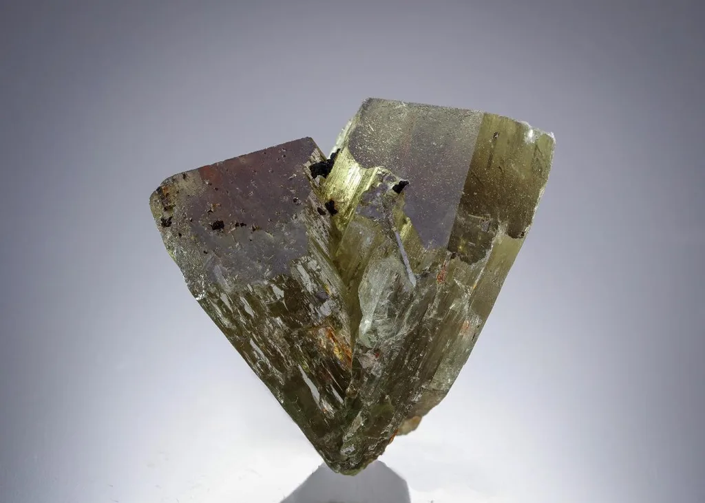 Diaspore image