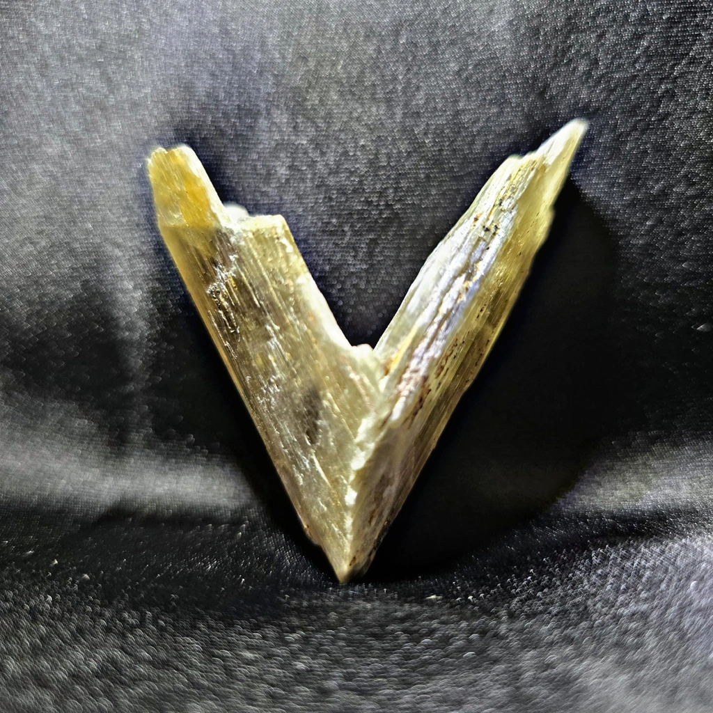 Diaspore image