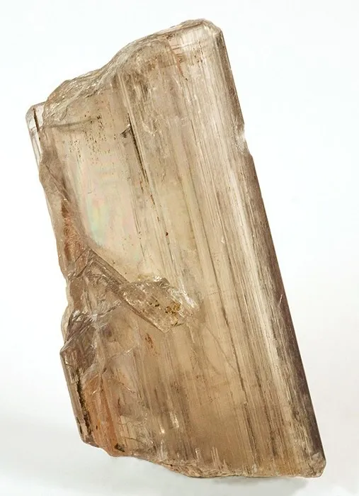 Diaspore image