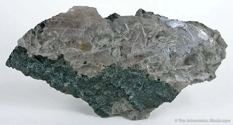 Diaspore - image 3